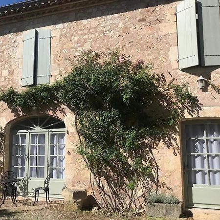 Domaine De La Durantie Duplex Vieux Chateau Castelnau-de-Montmiral المظهر الخارجي الصورة