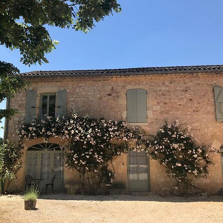 Domaine De La Durantie Duplex Vieux Chateau Castelnau-de-Montmiral المظهر الخارجي الصورة
