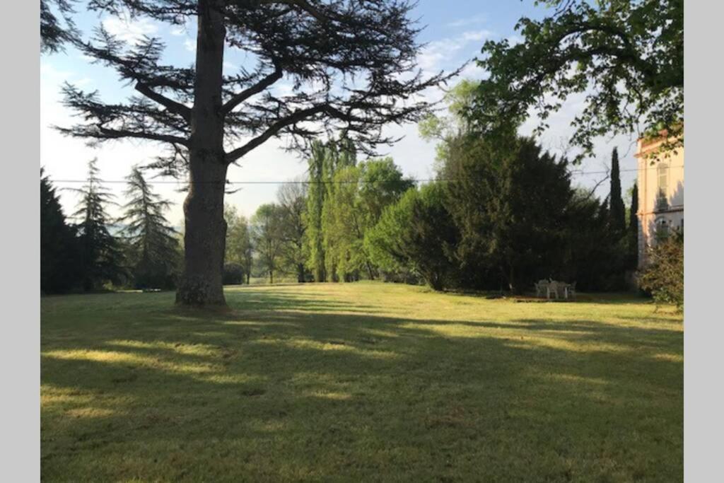 Domaine De La Durantie Duplex Vieux Chateau Castelnau-de-Montmiral المظهر الخارجي الصورة