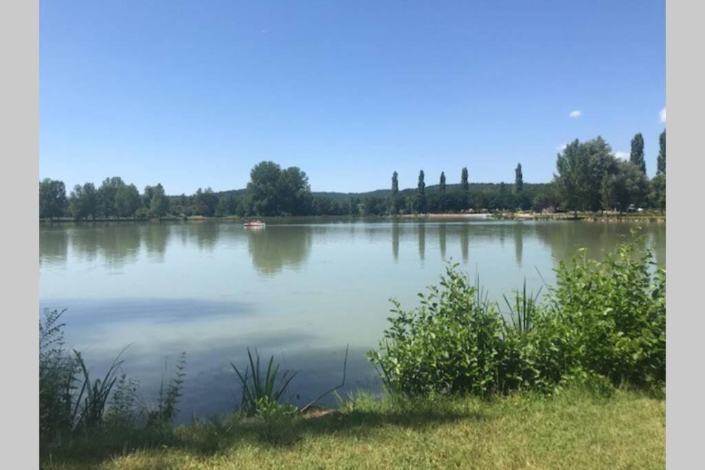 Domaine De La Durantie Duplex Vieux Chateau Castelnau-de-Montmiral المظهر الخارجي الصورة