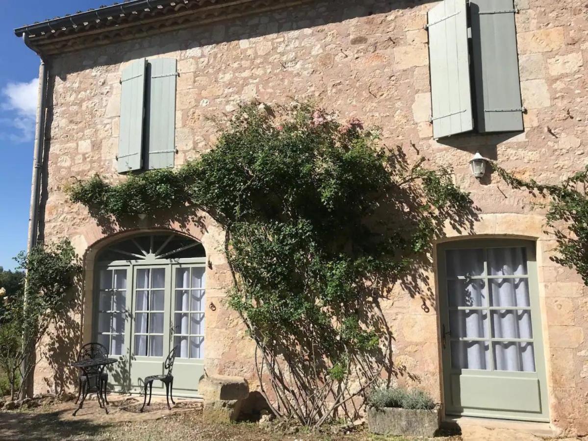 Domaine De La Durantie Duplex Vieux Chateau Castelnau-de-Montmiral المظهر الخارجي الصورة
